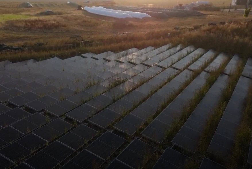 Panneaux solaires du Batîment Cocebi